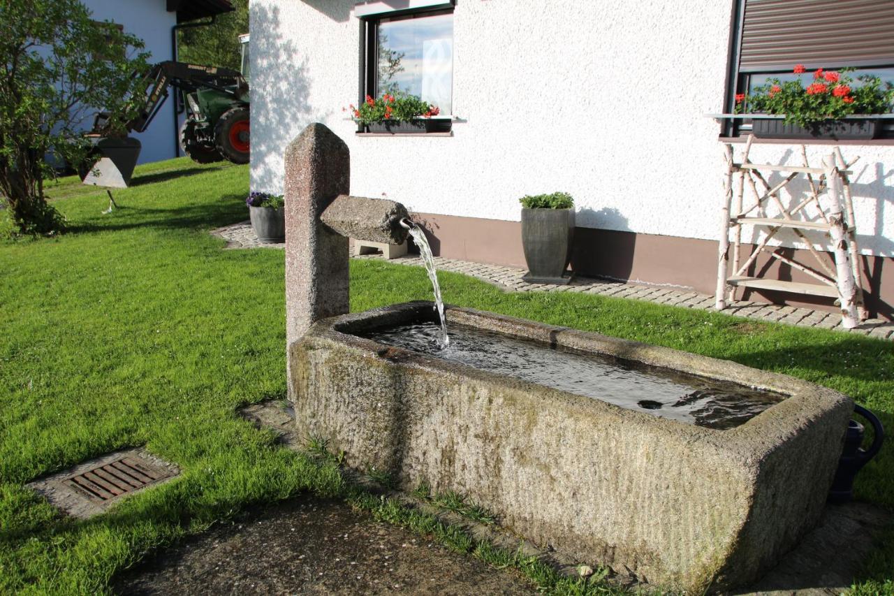 Mitterdorf Almberg 7 Mitterfirmiansreut