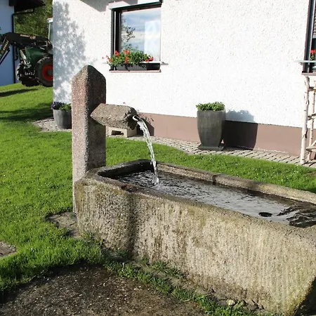 Apartman Mitterdorf Almberg 7 Mitterfirmiansreut Exterior photo